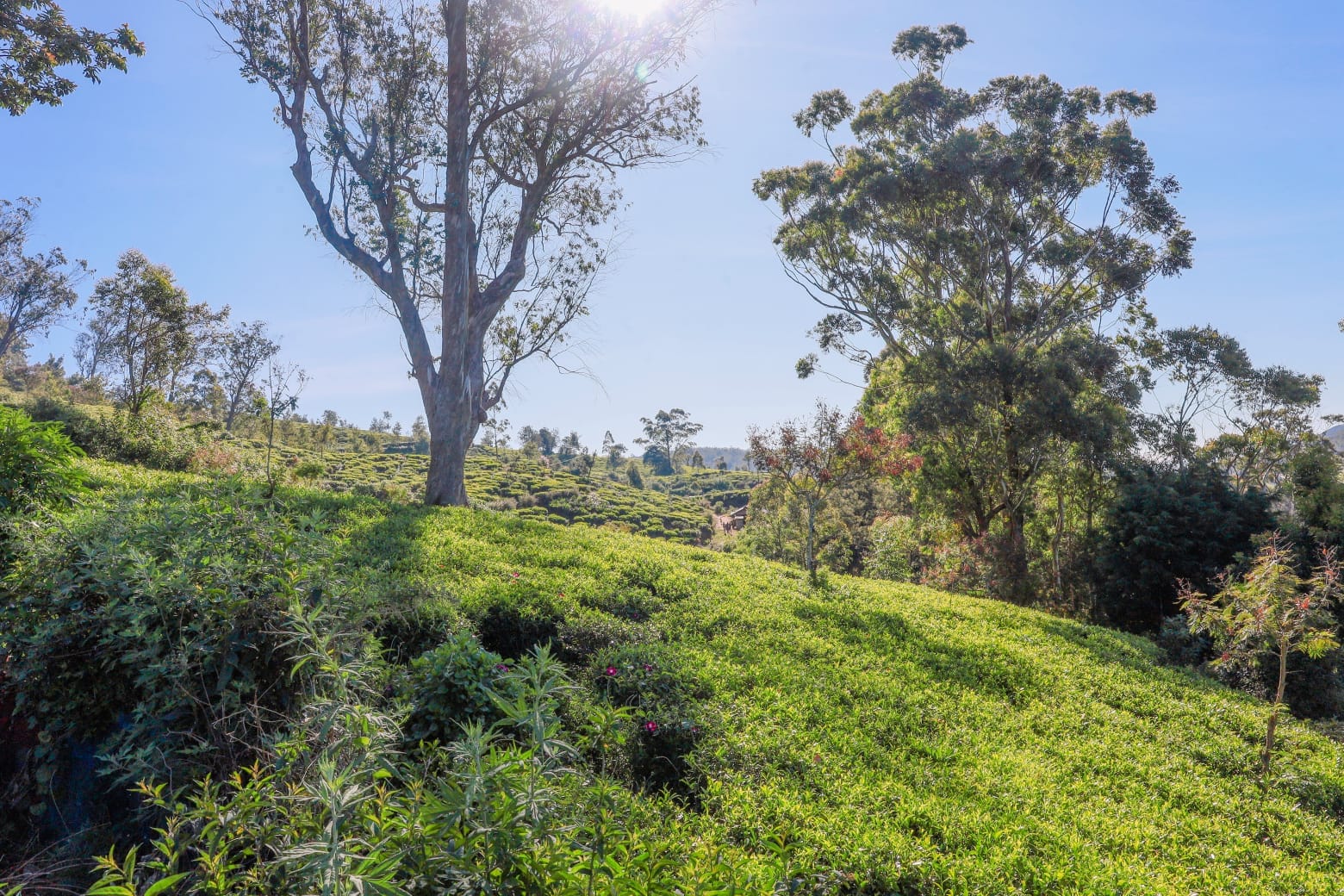 71F0506C-9EB2-4229-89A2-E4072D3779A8