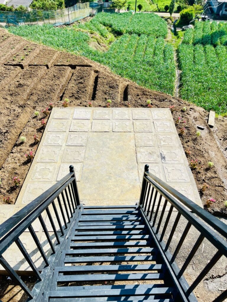 80820514-4B25-4956-9DD6-2E91B9A7A9FD