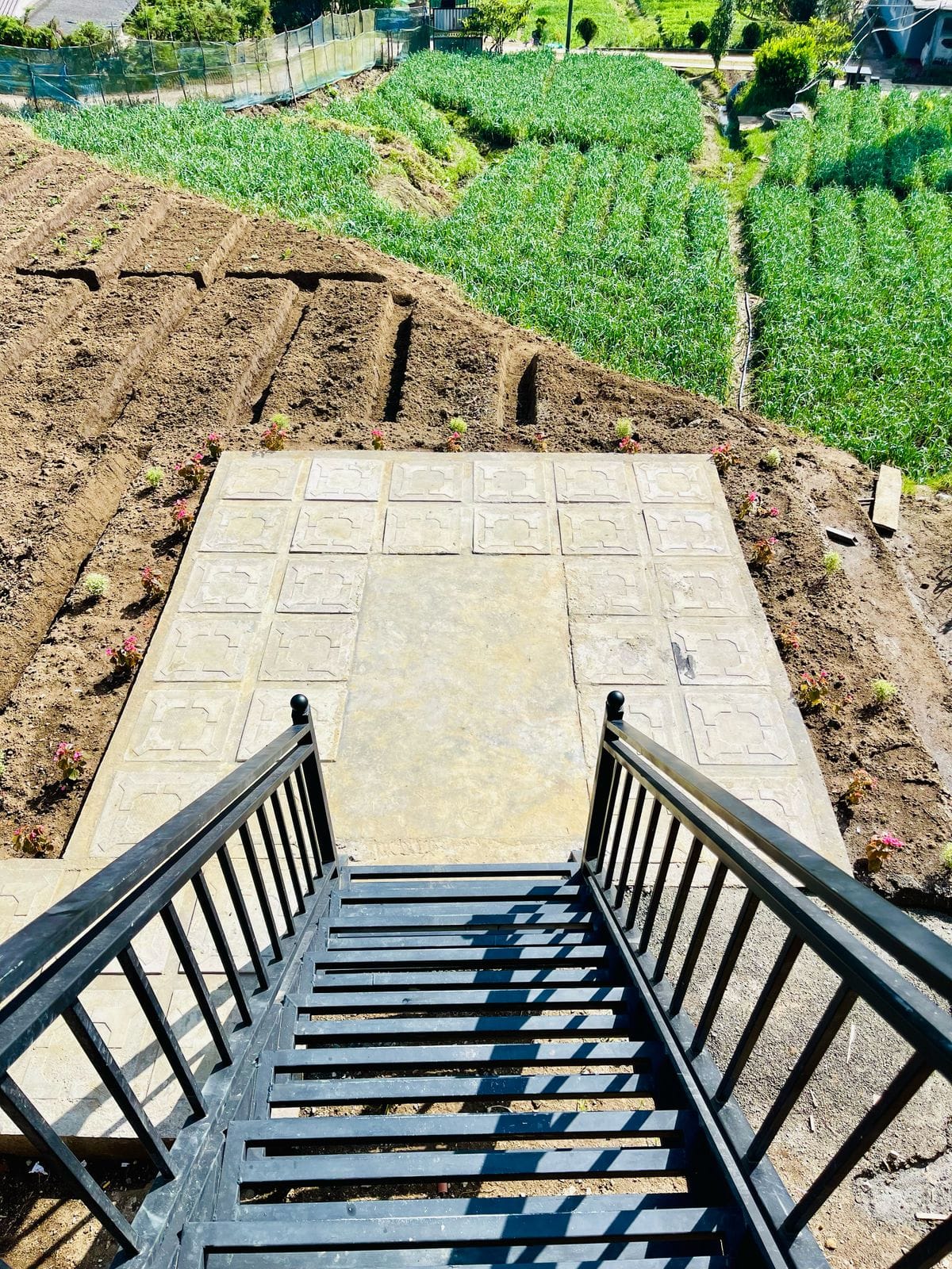 80820514-4B25-4956-9DD6-2E91B9A7A9FD