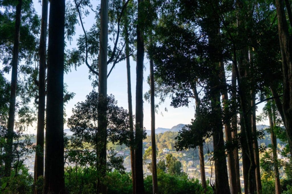 ad562d93-4ec9-4345-a679-e90190e39ae1