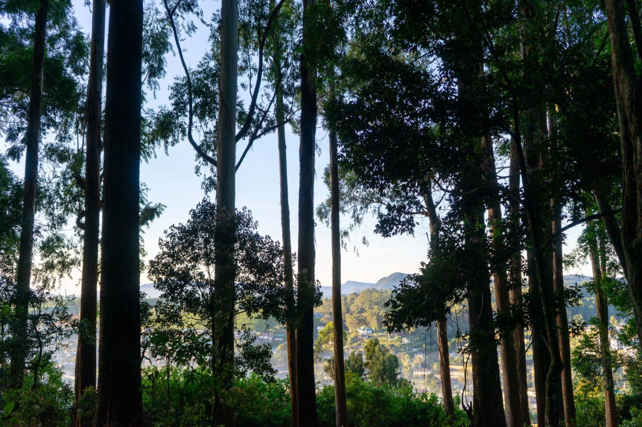 ad562d93-4ec9-4345-a679-e90190e39ae1