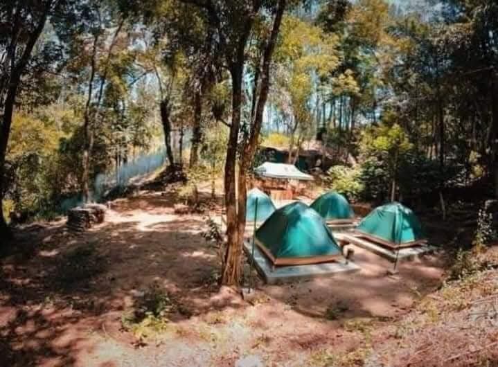 d8da2a8b-0104-4555-999a-e61d85d49eac-1