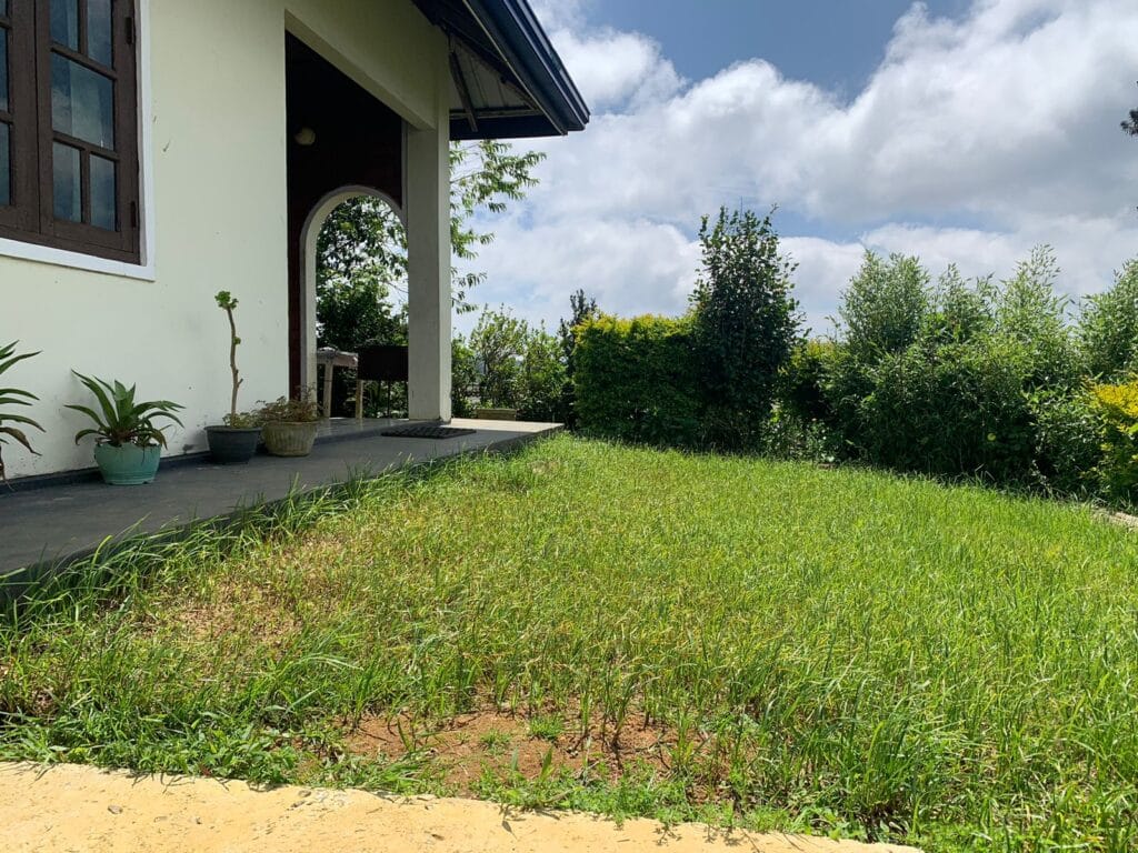 fe0af566-fbc5-4f86-b1b5-1e01ae715846