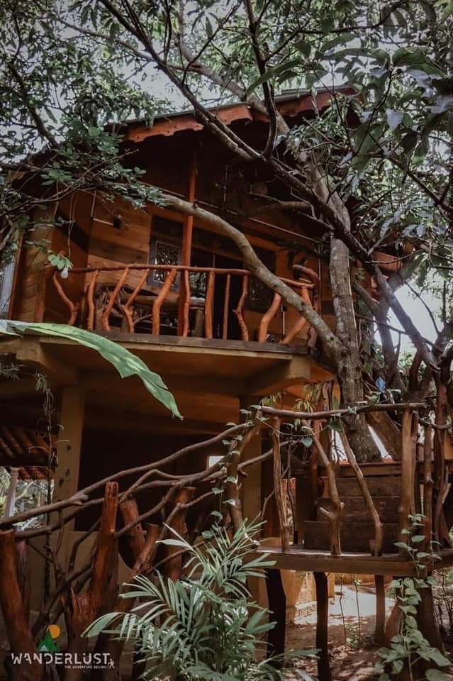 469070071_515674618119143_689541780118396424_n