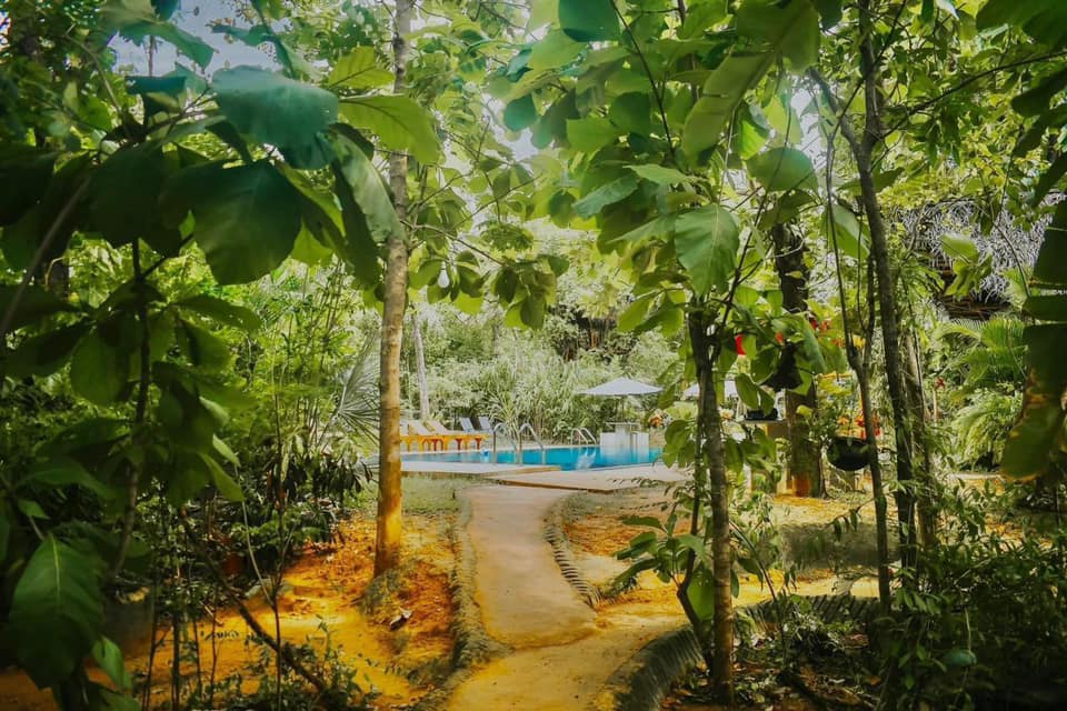 469080265_515674518119153_868067038085260611_n