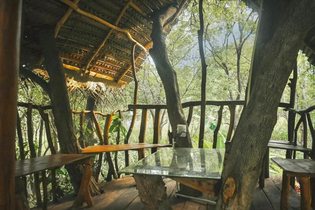 469146594_515674541452484_2316095539307185869_n