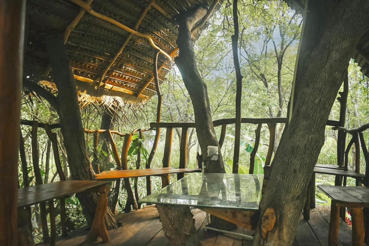 469146594_515674541452484_2316095539307185869_n