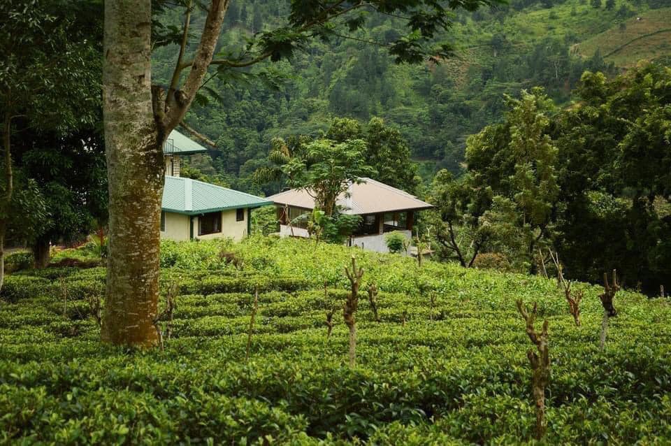 476892858_1179250827045794_8334826470316847013_n