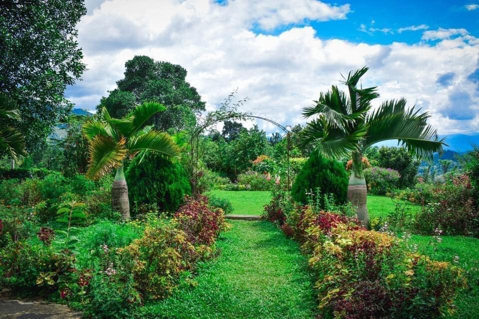 477207284_1179250423712501_628307497780672489_n