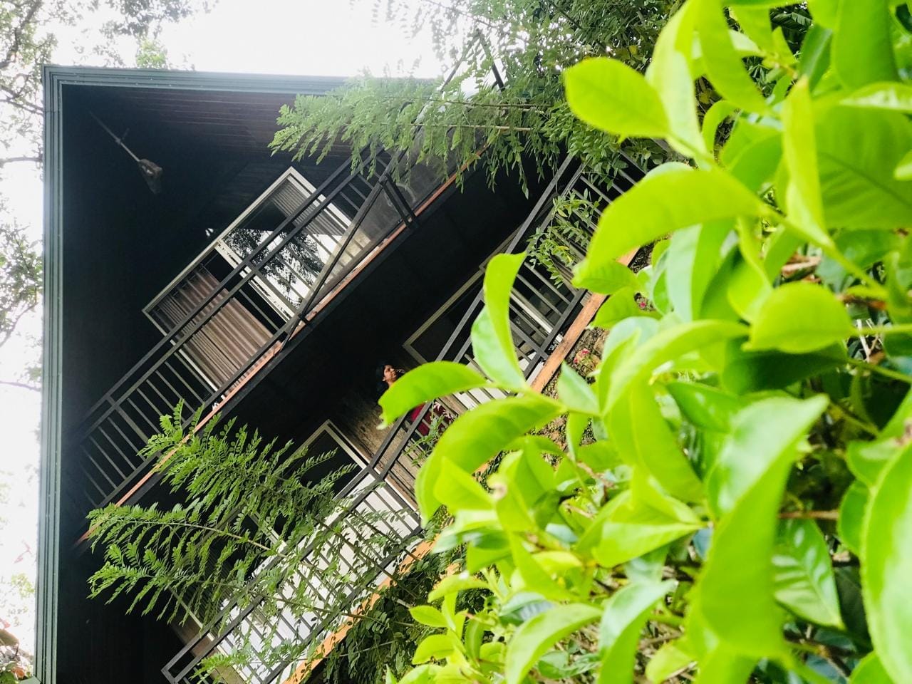 486110411_650351237750812_2469170645733882136_n