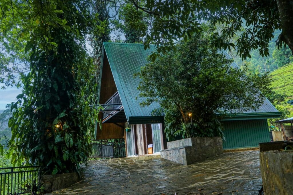 486251709_650351191084150_672040097820432018_n