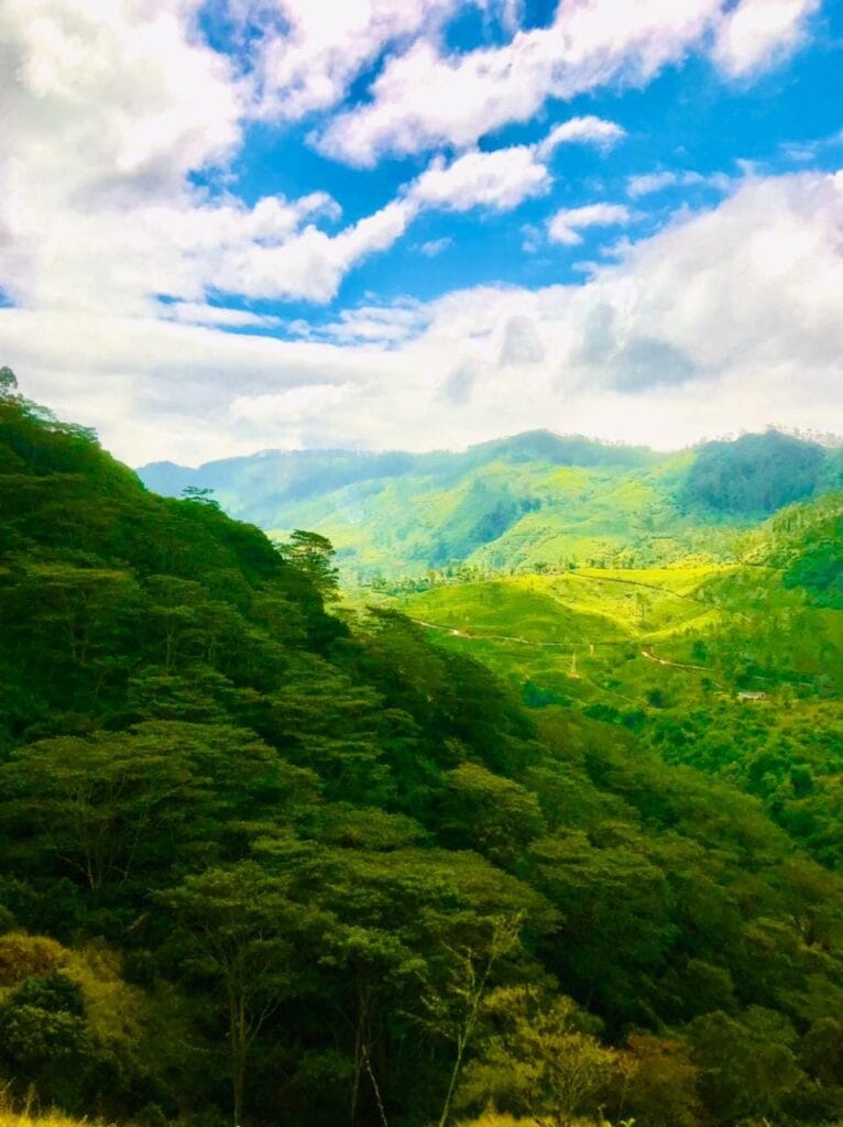 486272659_650351547750781_8157162032353077209_n