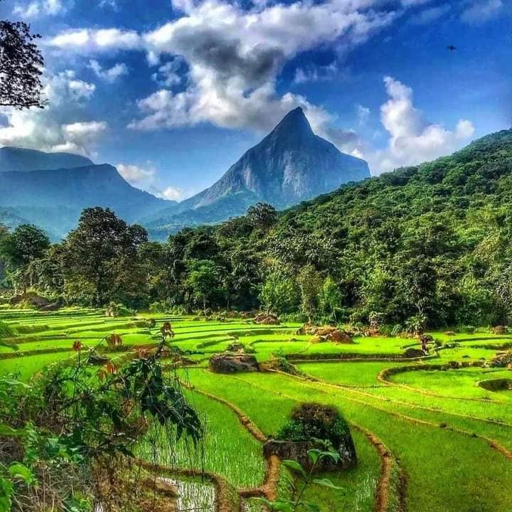 486608612_1064805885684255_3249967196882339065_n