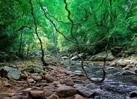 487079499_1064805545684289_4387782667840577399_n