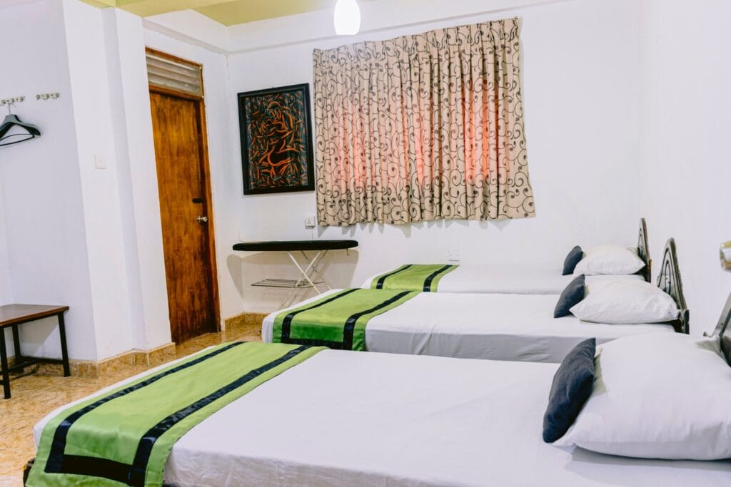 492100729_1227435929383193_5781484108887261495_n