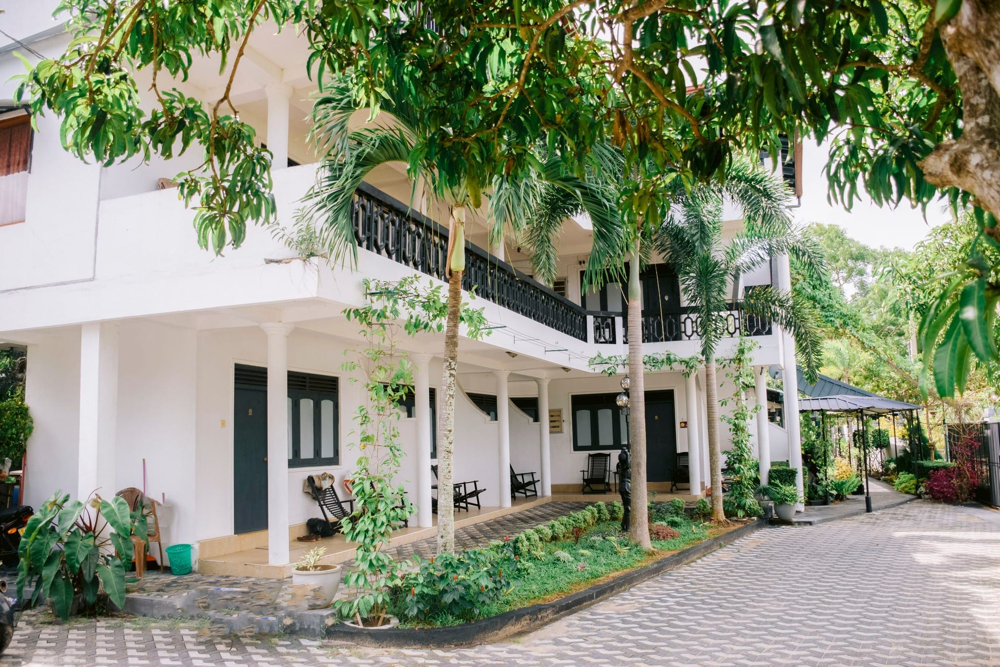 492712052_1227435842716535_774930906921122616_n