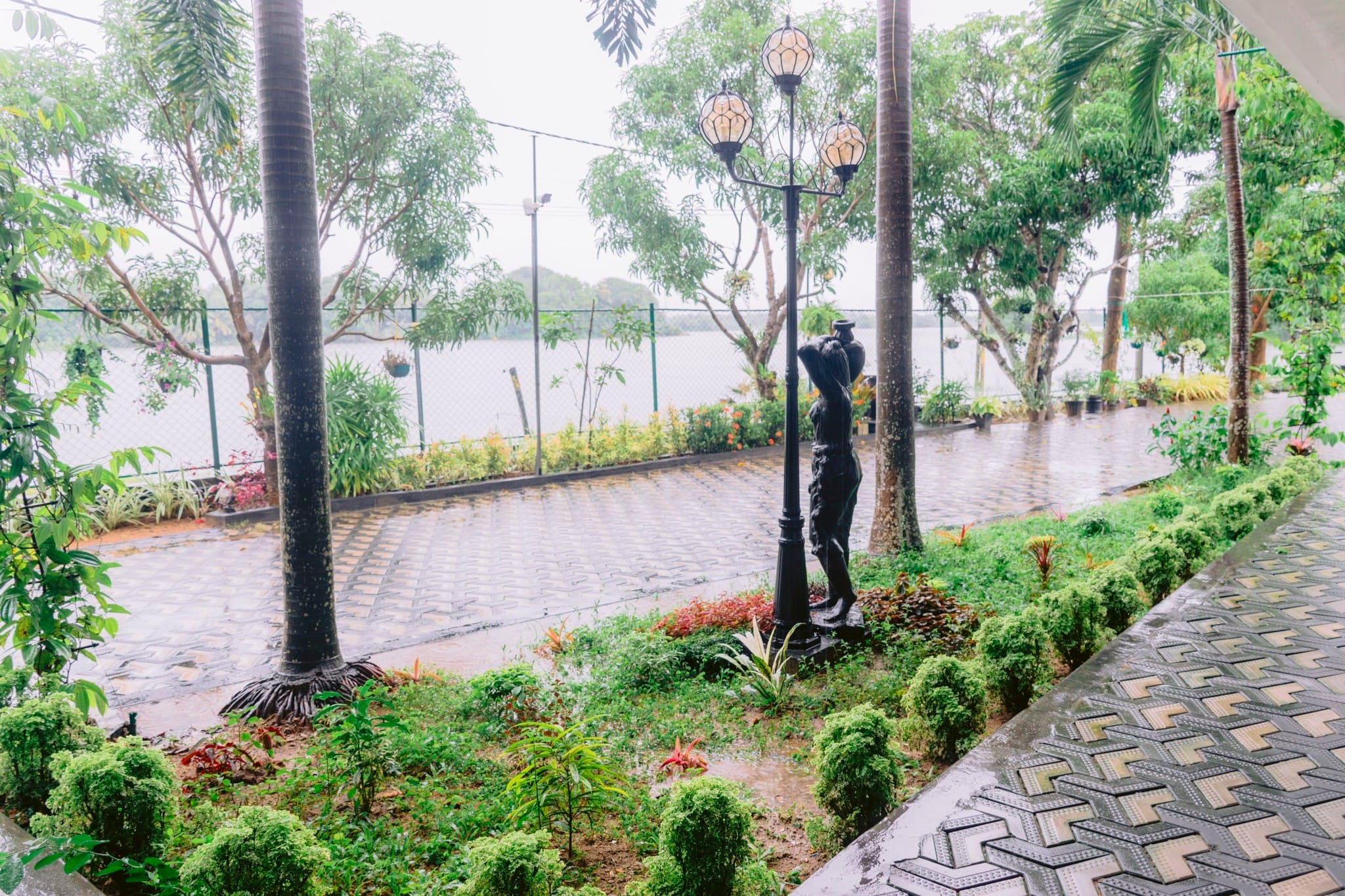 492739792_1227436122716507_2338821300452247983_n