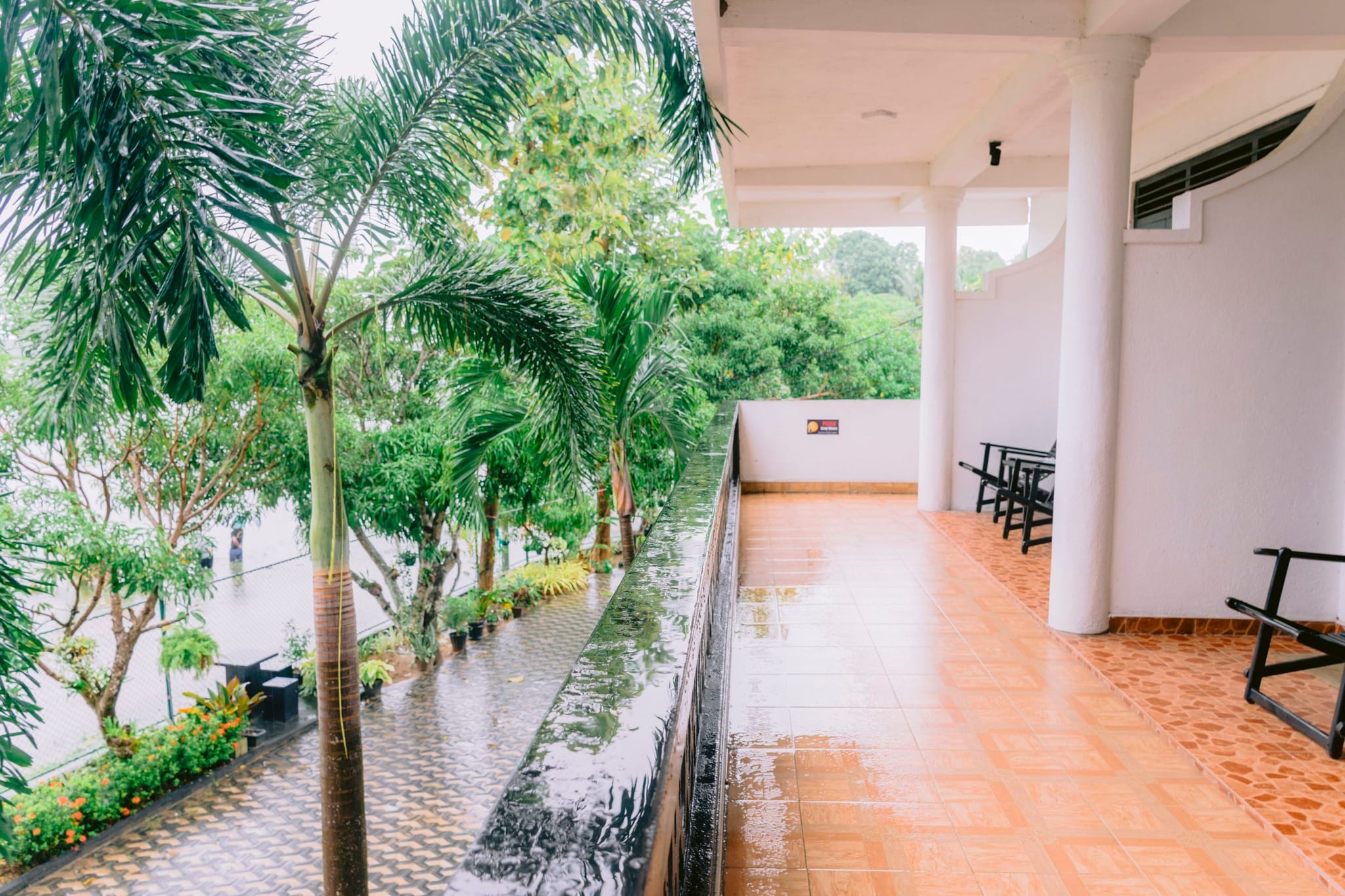 492754261_1227436022716517_5730985921452737556_n