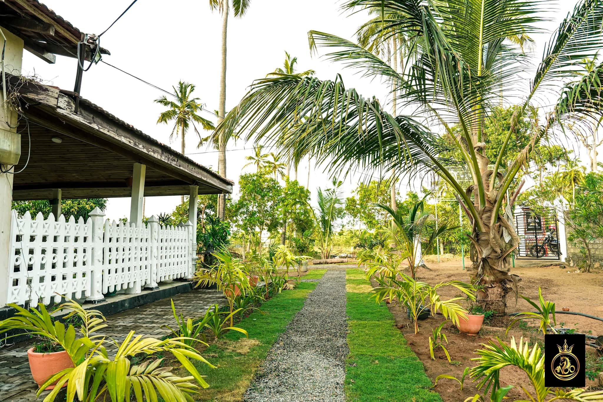 493917765_122226288026035069_7301577761672848173_n