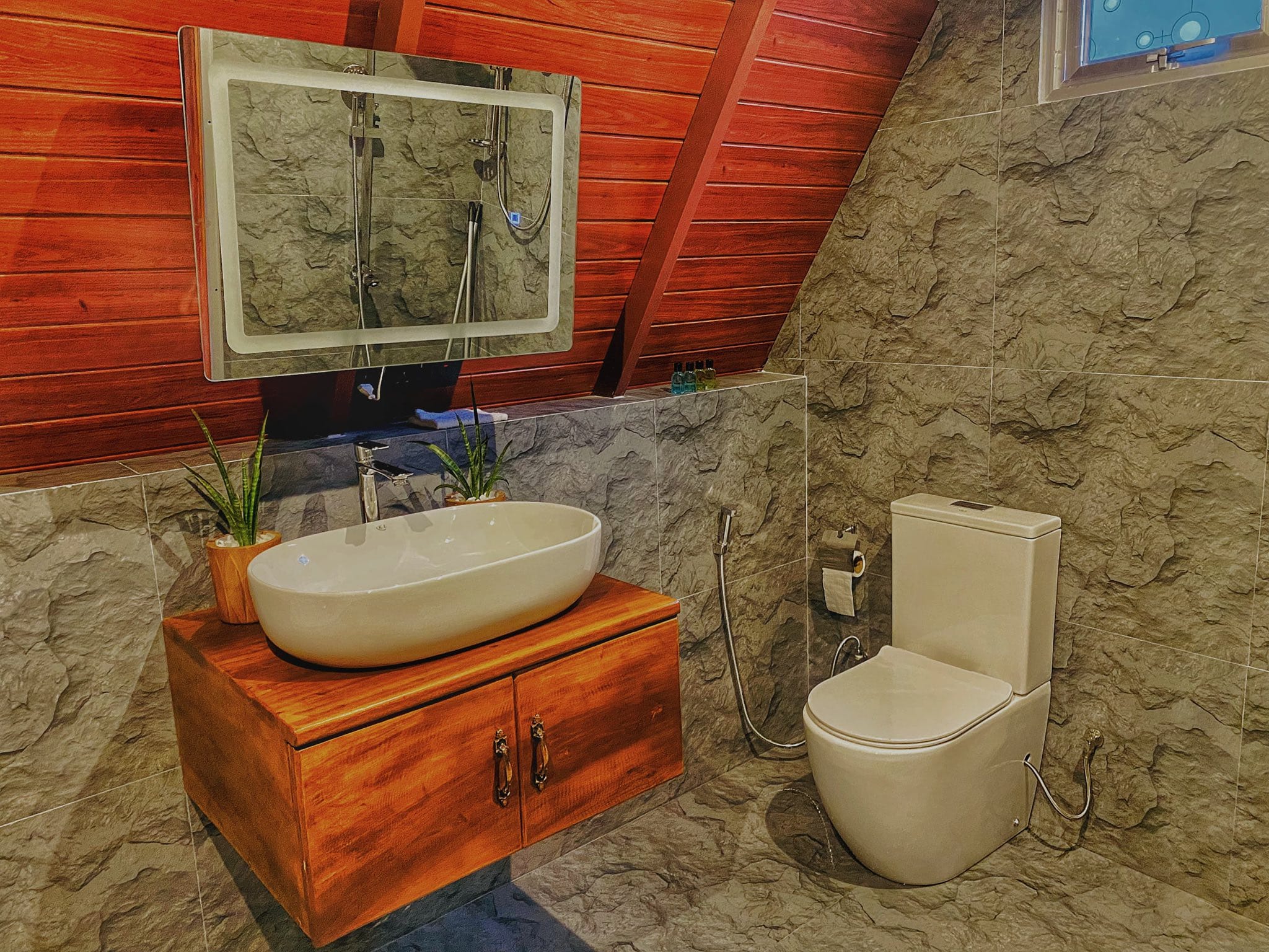 494610836_122140859144804355_7943363447276492889_n