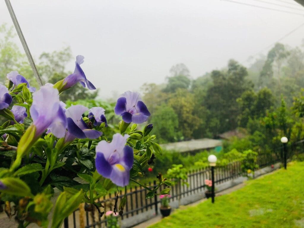 498027208_122128012208792039_3863732820081628980_n