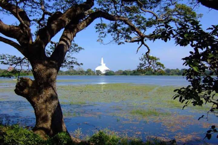 499124909_122123460140803123_1737164296042662248_n