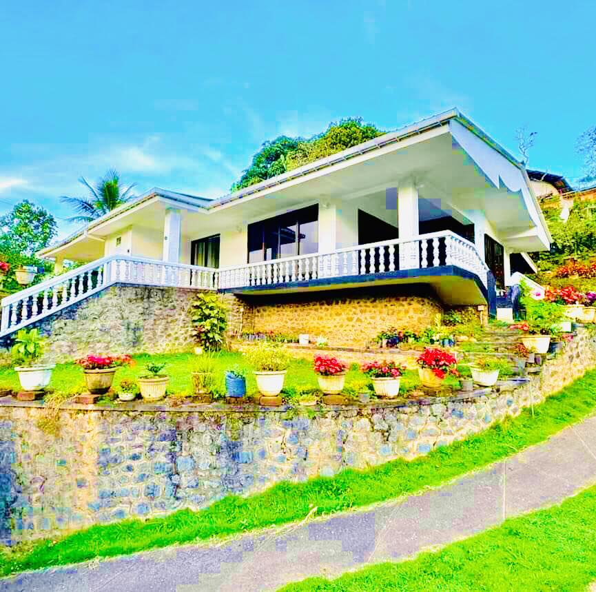 499220893_122128011596792039_1009012962894004591_n