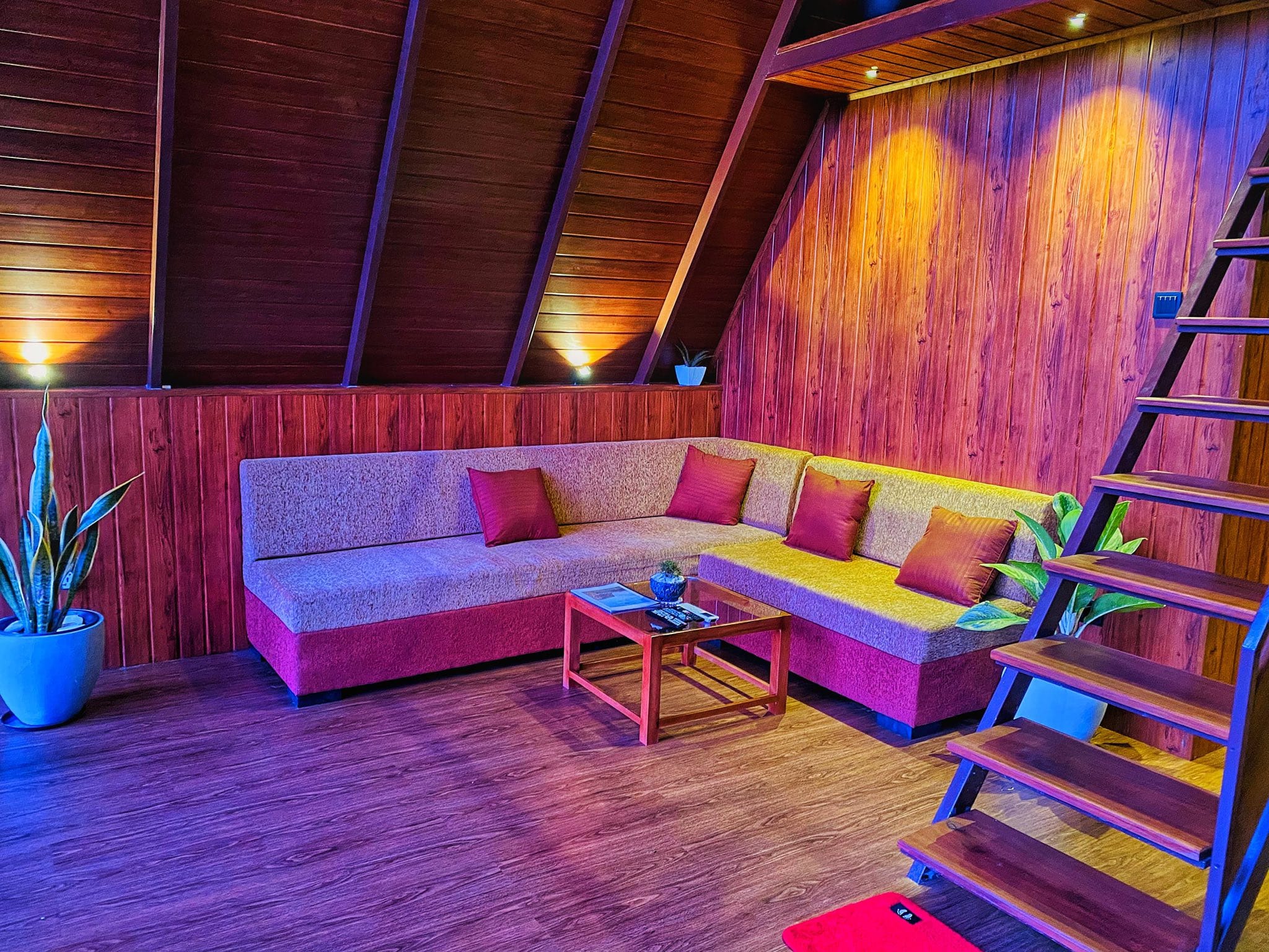 499596761_122140859204804355_7362608668560024107_n