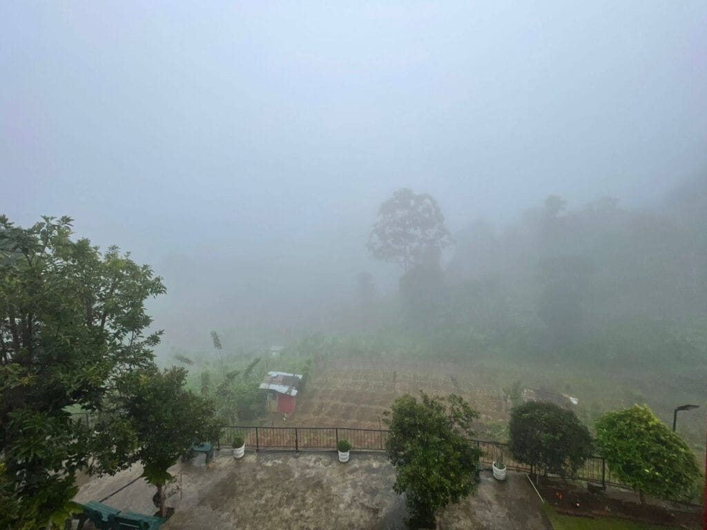 500997579_1138164324996001_1462900760991848860_n