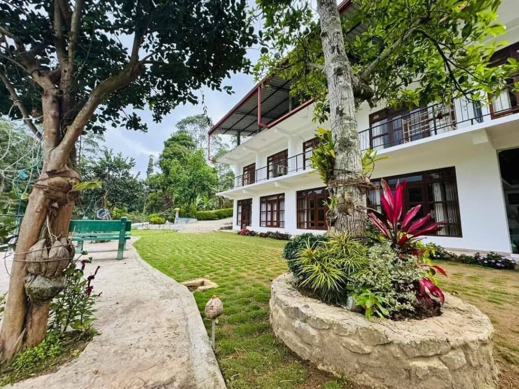 501061834_1138164228329344_548558186440523703_n