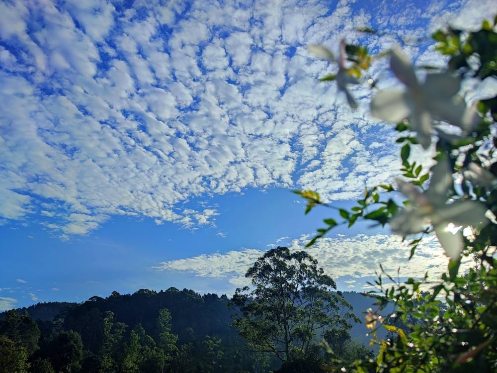 501273593_1138163638329403_4861109019340212877_n