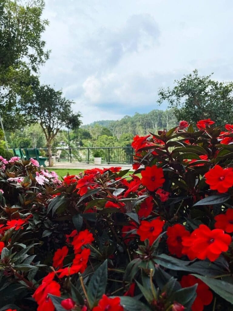 501792337_1138164844995949_4593059474799283050_n