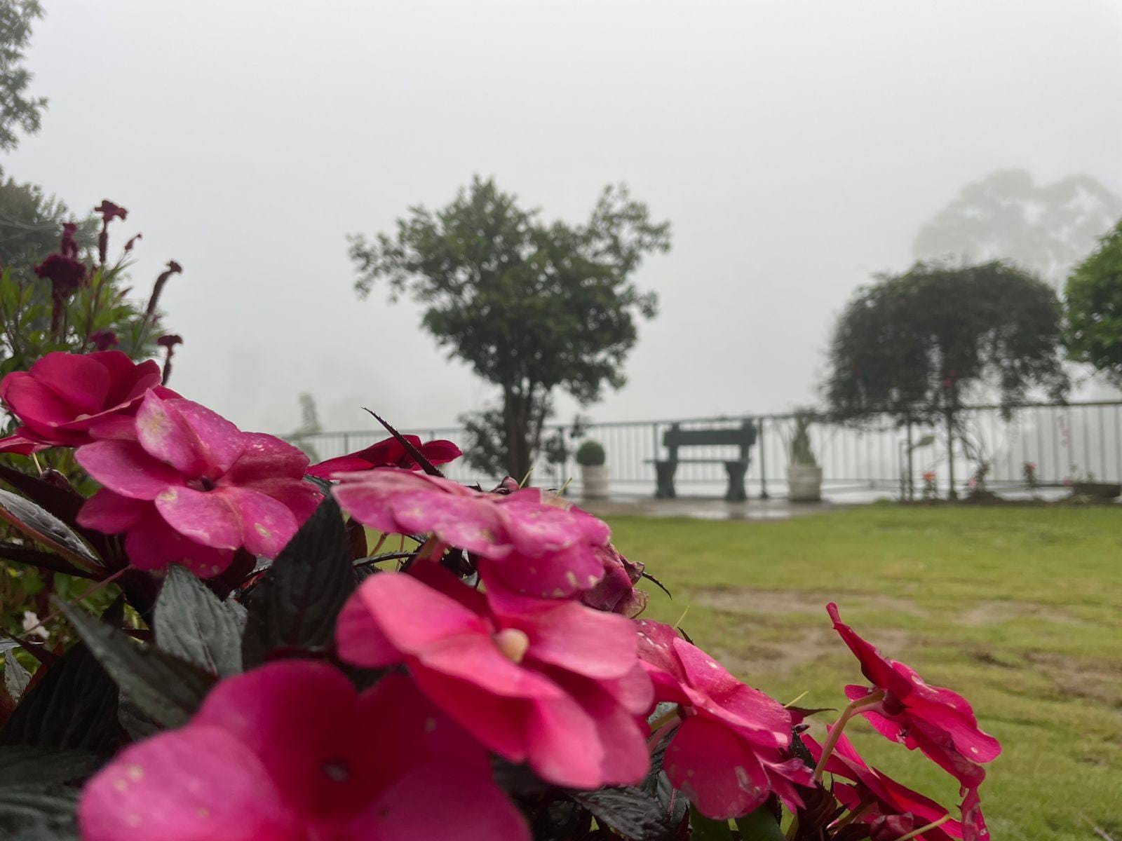 501797985_1138164484995985_4986726177416530317_n