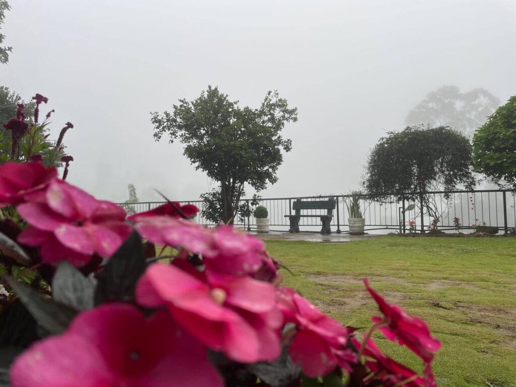 502568221_1138164944995939_2307715561277260595_n