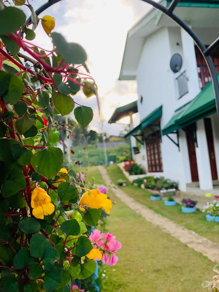 504197312_1144034317740209_8704318608562987910_n