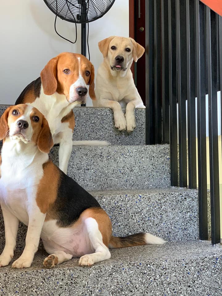 504206420_1144034161073558_5014882141281447477_n