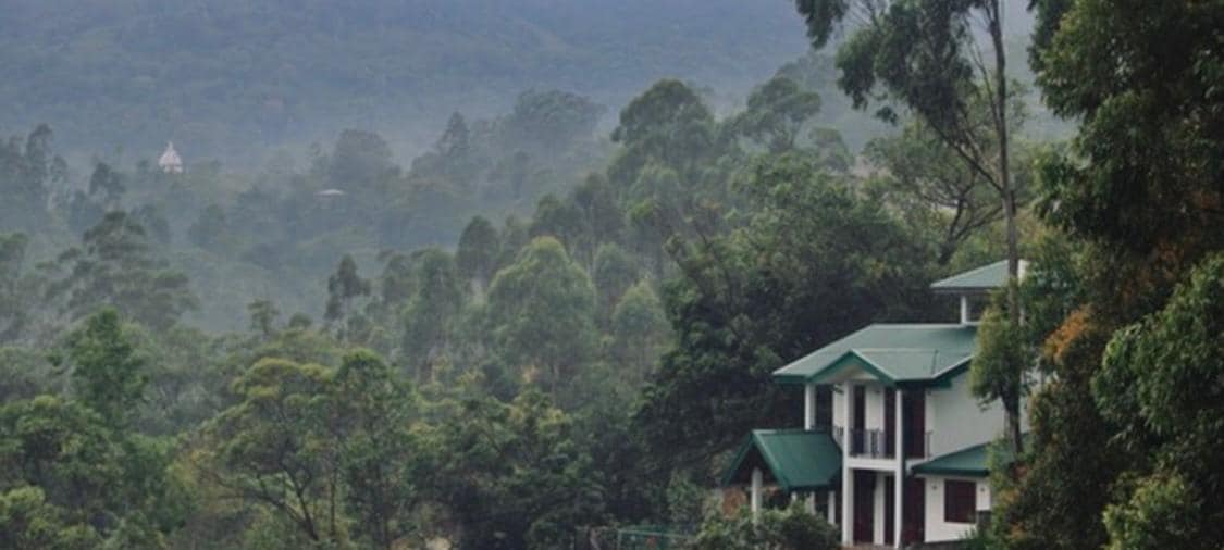 504388931_1144033314406976_6895959901832941623_n