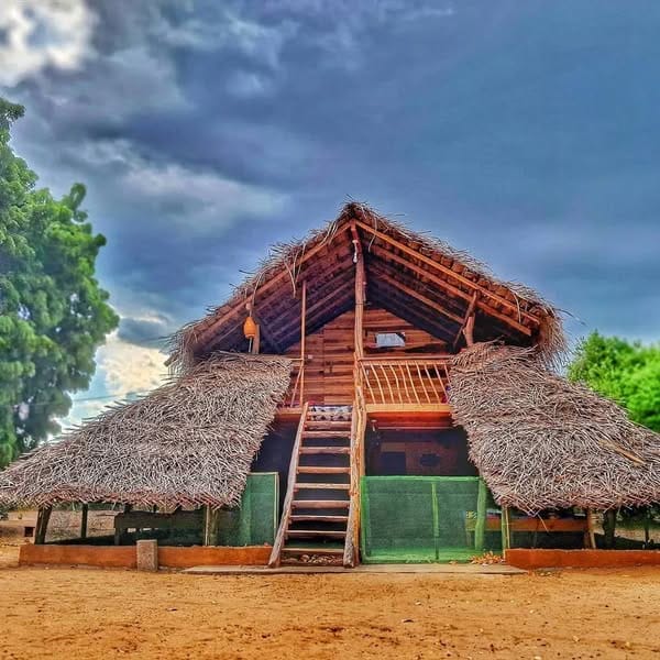 504529284_1056077949954147_4209819849516178875_n