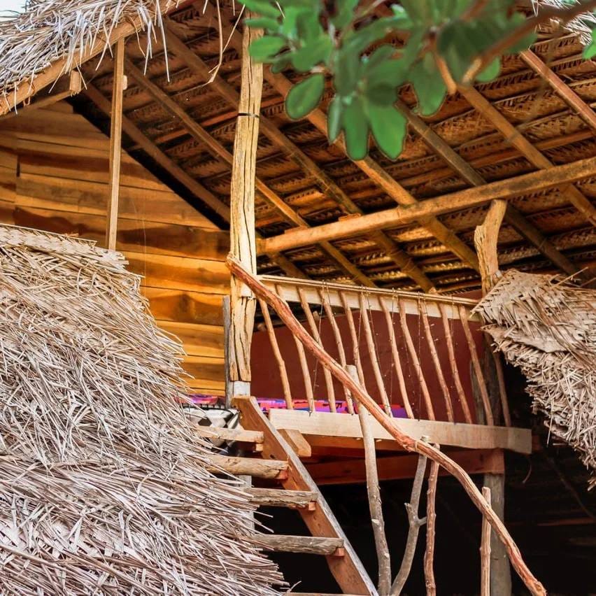 504818070_1056077996620809_183096166473430091_n