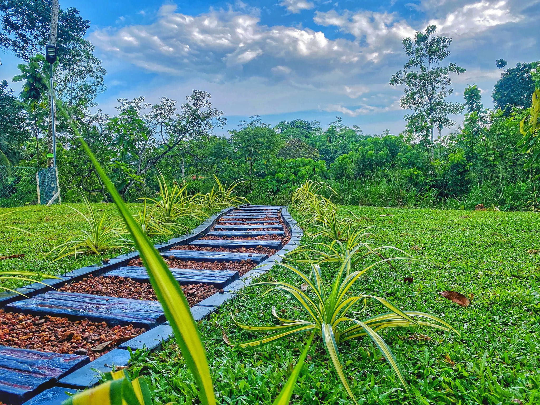 506445228_122140859102804355_7875962182158200990_n