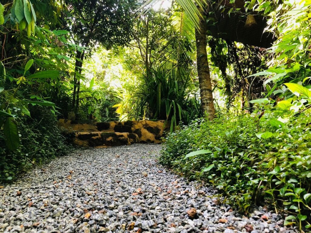 507990084_4102020210054532_524438608592730983_n