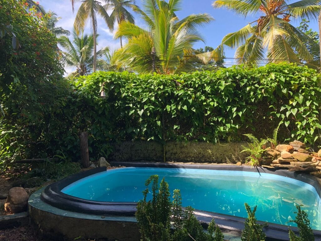 508160160_4102020163387870_3332476875408289059_n