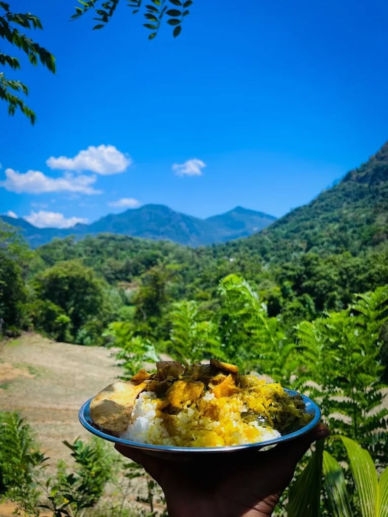 508377689_10008547589252597_8712716782347429003_n