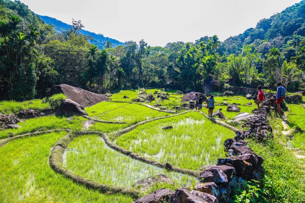 508513902_10008548062585883_8911666722453727074_n