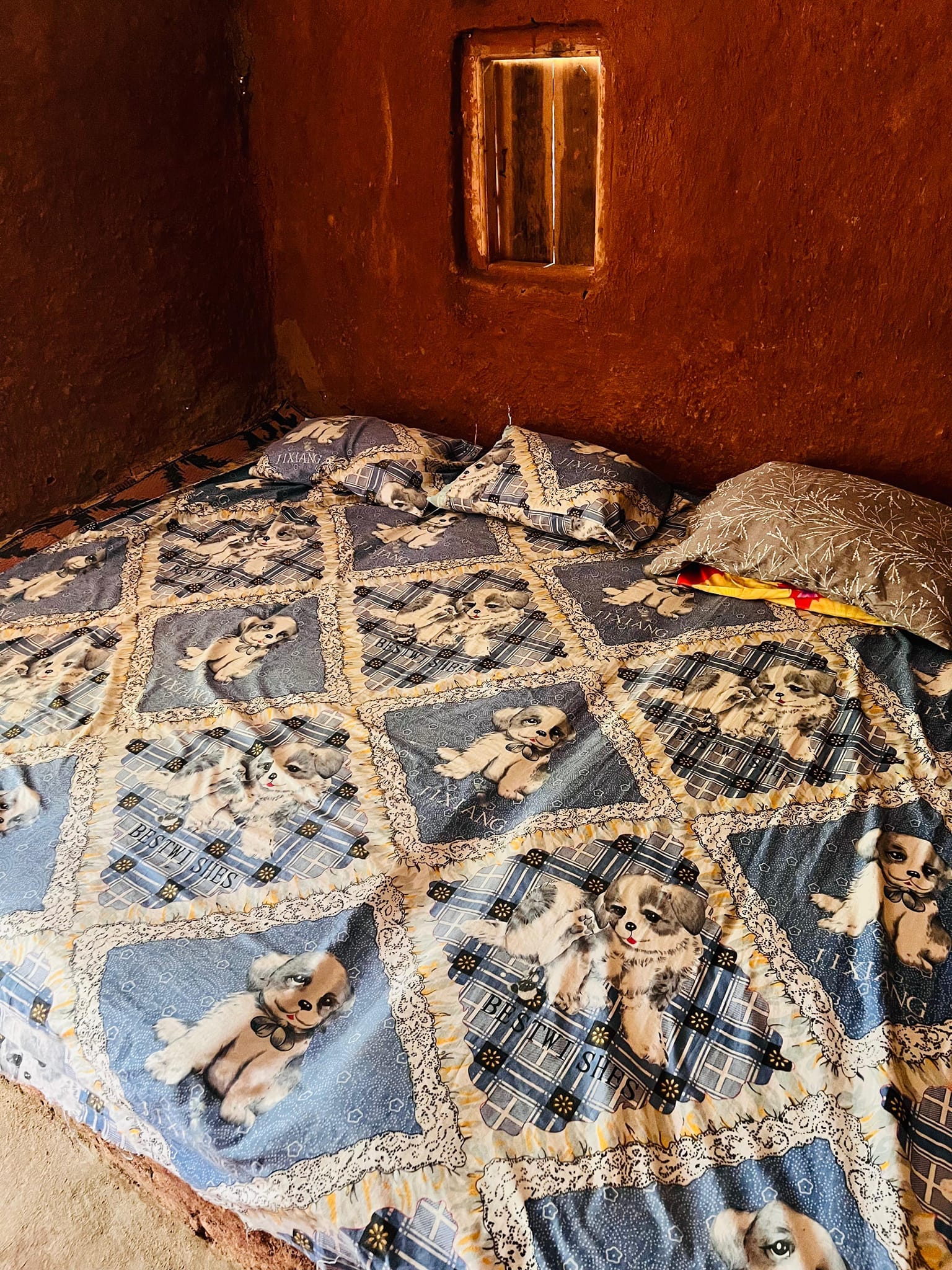 509357344_10008547655919257_2269435907290231110_n