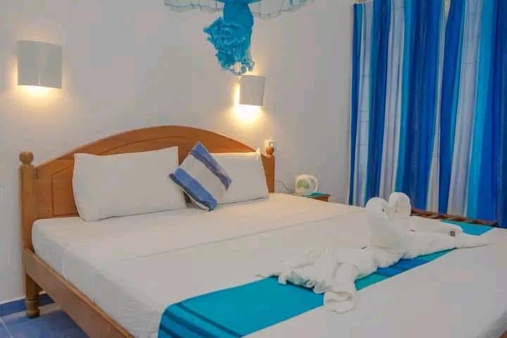 510981783_1035455422063503_2379529479214543216_n