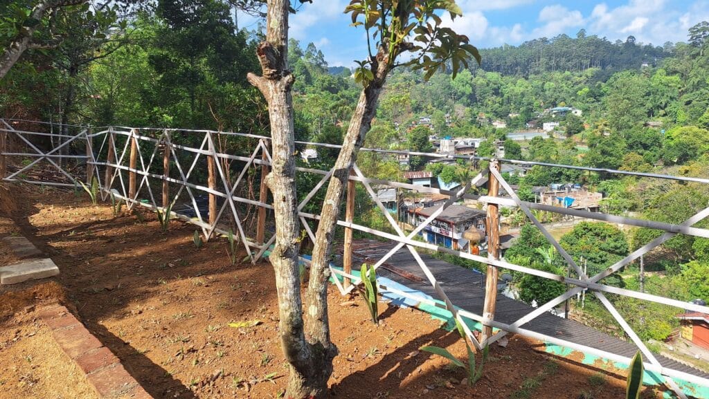 511157584_122230385558246095_7891486342522801672_n