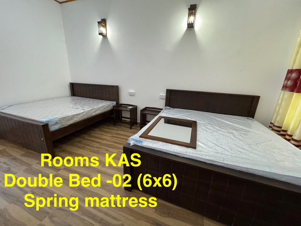 513865948_122106236774923980_9156851141664768576_n