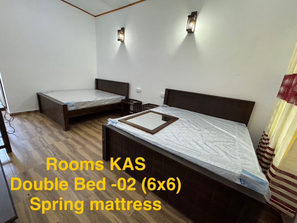 514264964_122106236684923980_2744900165998127260_n