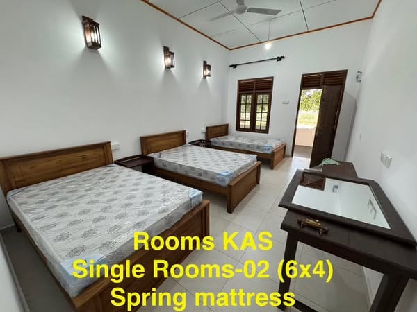 514339861_122106236498923980_1481859848866286866_n